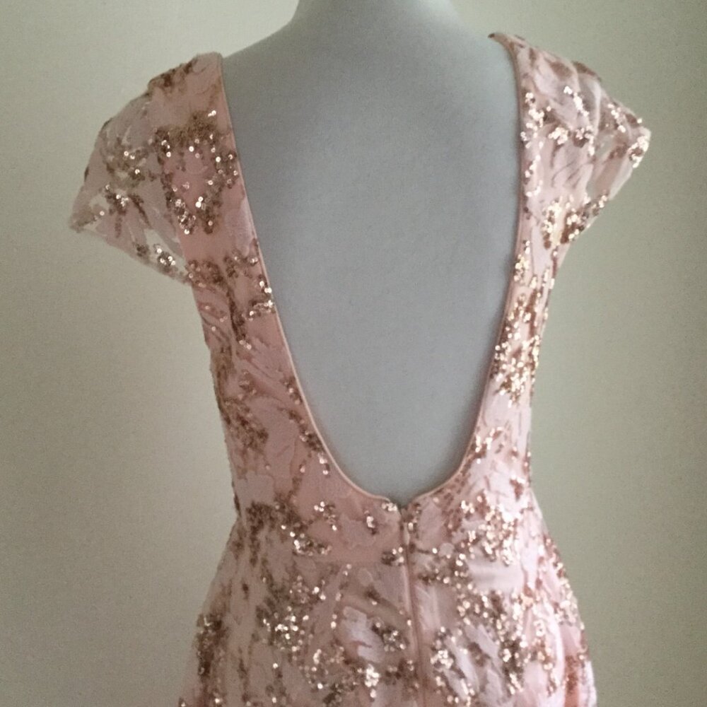 Eliza J. Sequin Peachy Pink Embroidered Sequin Gown 6 - Picture 7 of 13